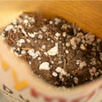 Cactus and Succulent Potting Mix