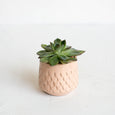 Mermaid Planter