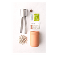 Prickly Pear Cactus Terracotta Kit