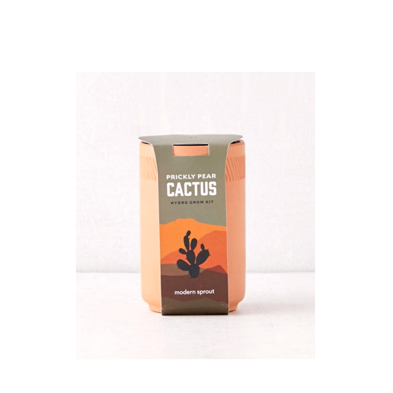 Prickly Pear Cactus Terracotta Kit