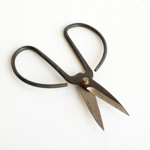 Forged Iron Shears