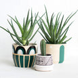 Safaa Planter