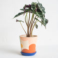 Abstract Shapes Planter