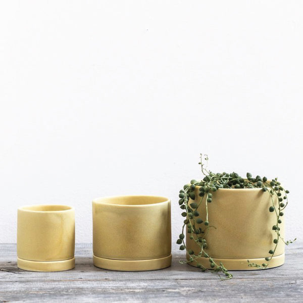 Yellow Handmade Ceramic Planter